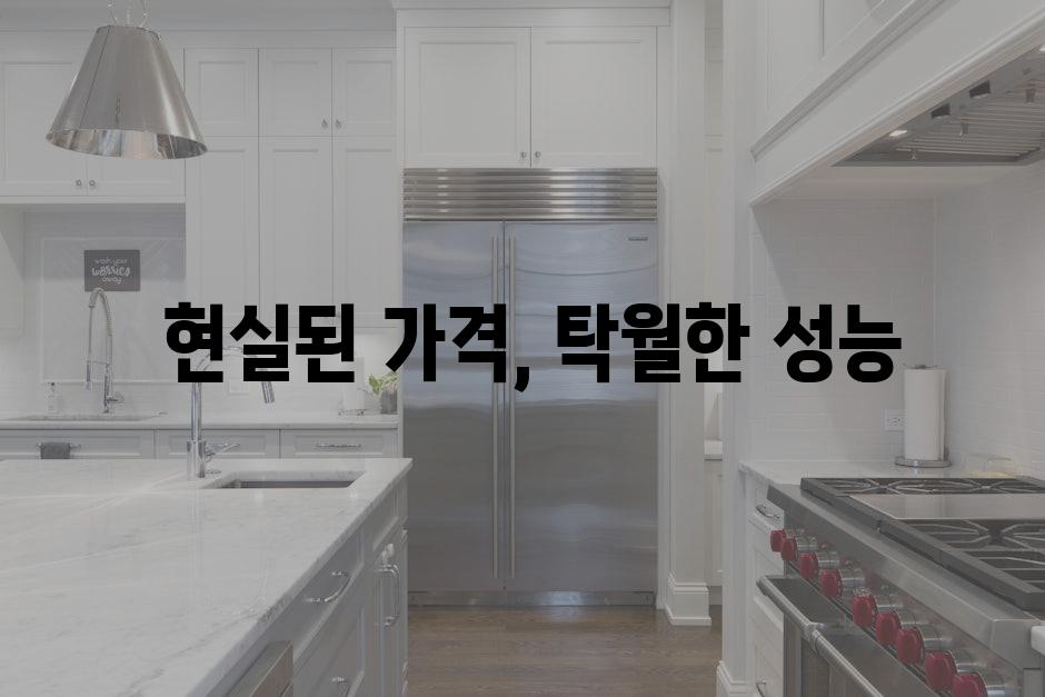  현실된 가격, 탁월한 성능