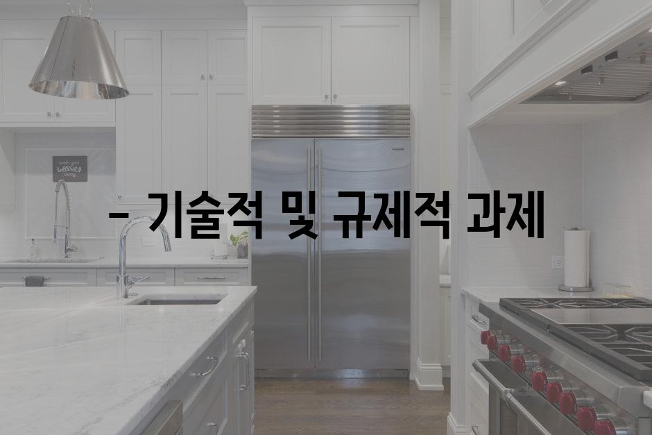 - 기술적 및 규제적 과제