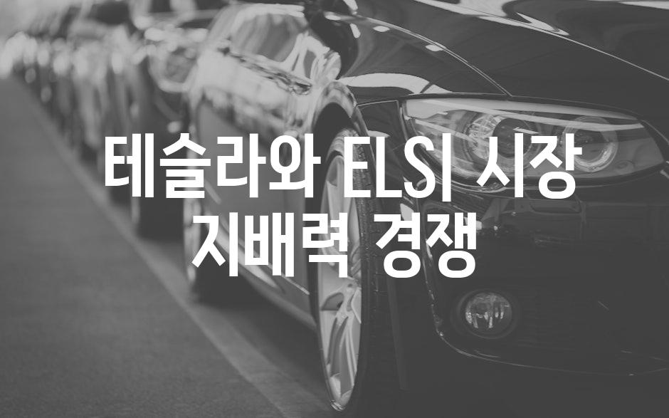  테슬라와 ELS| 시장 지배력 경쟁