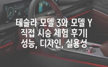 테슬라 모델 3와 모델 Y 직접 시승 체험 후기| 성능, 디자인, 실용성