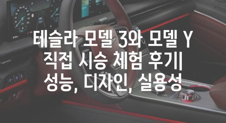 테슬라 모델 3와 모델 Y 직접 시승 체험 후기| 성능, 디자인, 실용성