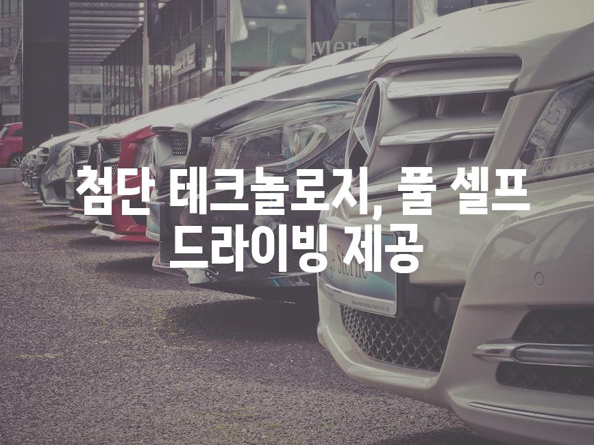  첨단 테크놀로지, 풀 셀프 드라이빙 제공