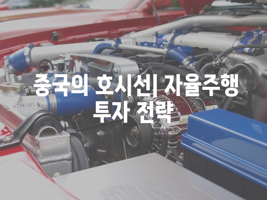  중국의 호시선| 자율주행 투자 전략