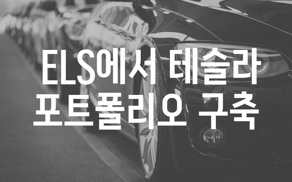  ELS에서 테슬라 포트폴리오 구축