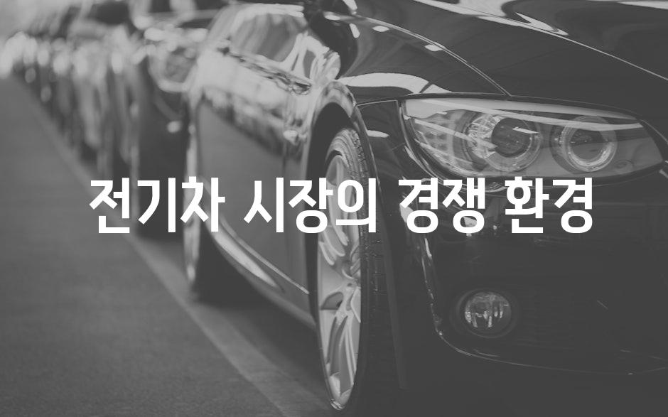  전기차 시장의 경쟁 환경