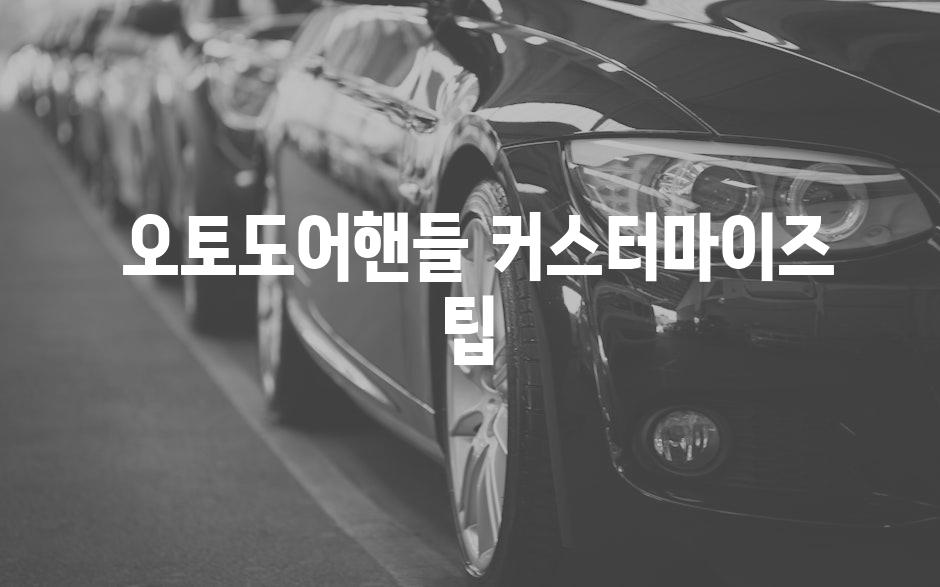  오토도어핸들 커스터마이즈 팁