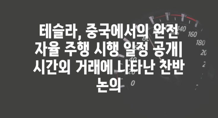 테슬라, 중국에서의 완전 자율 주행 시행 일정 공개| 시간외 거래에 나타난 찬반 논의