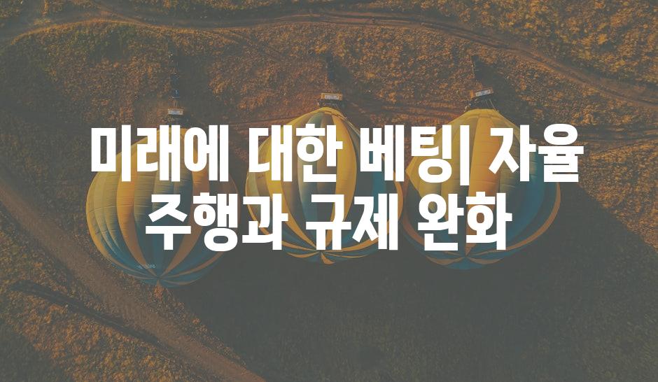 미래에 대한 베팅| 자율 주행과 규제 완화