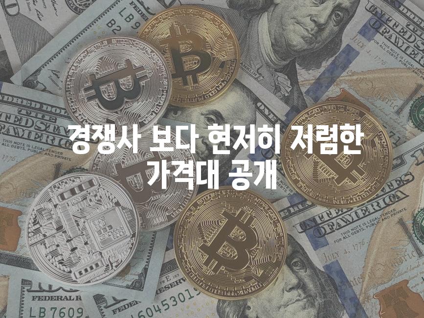  경쟁사 보다 현저히 저렴한 가격대 공개