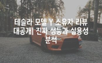 테슬라 모델 Y 소유자 리뷰 대공개| 진짜 성능과 실용성 분석