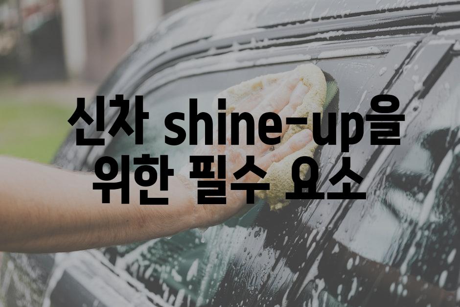  신차 shine-up을 위한 필수 요소