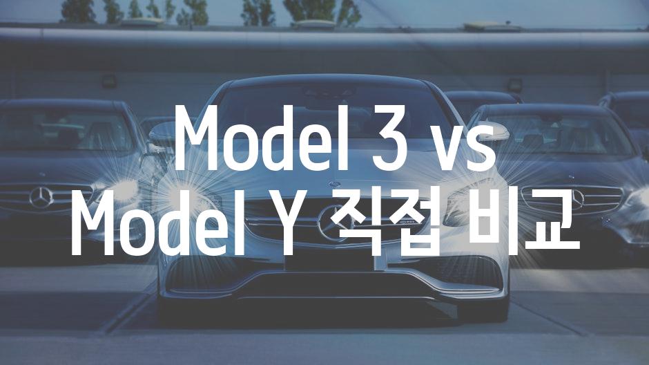  Model 3 vs Model Y 직접 비교