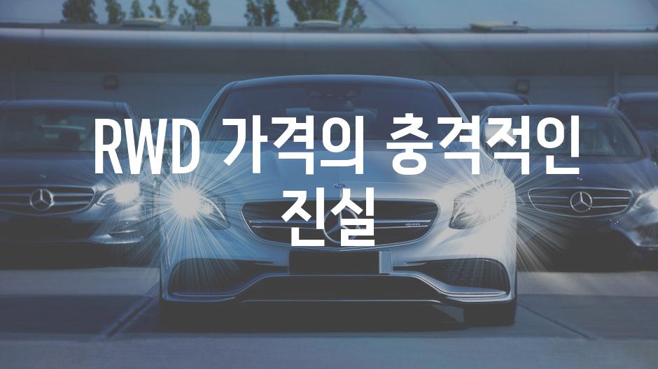  RWD 가격의 충격적인 진실