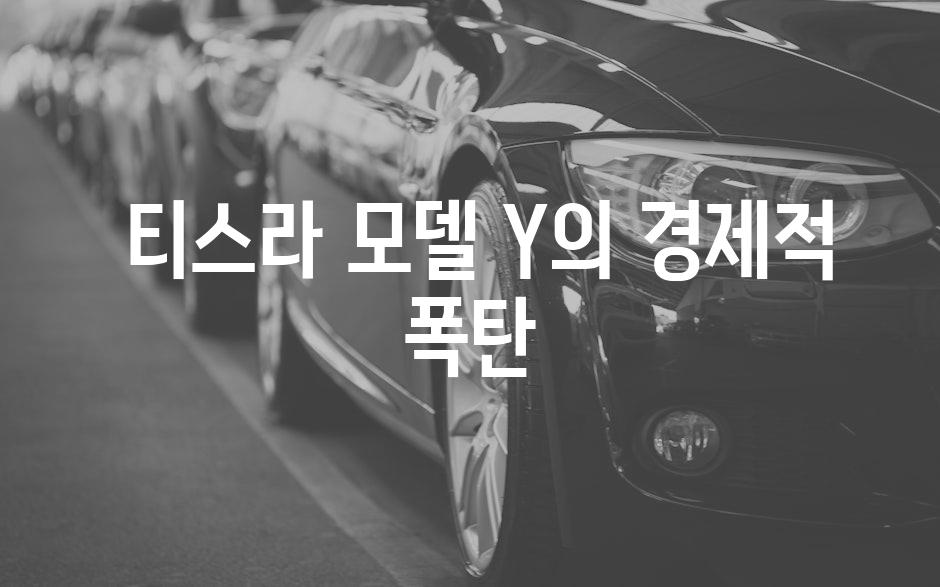  티스라 모델 Y의 경제적 폭탄