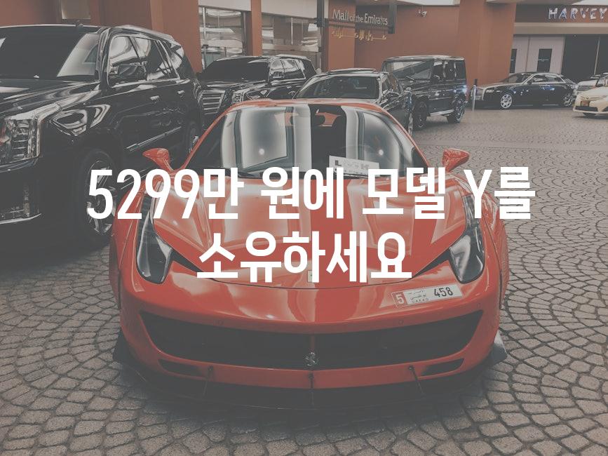  5299만 원에 모델 Y를 소유하세요