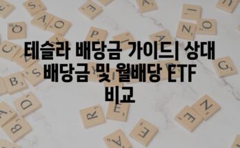 테슬라 배당금 가이드| 상대 배당금 및 월배당 ETF 비교