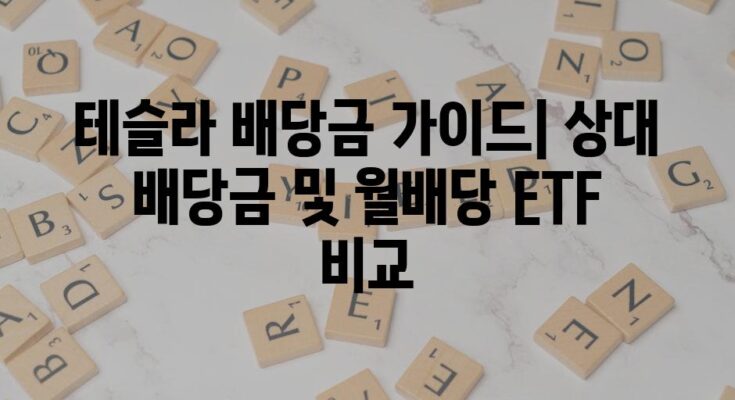 테슬라 배당금 가이드| 상대 배당금 및 월배당 ETF 비교