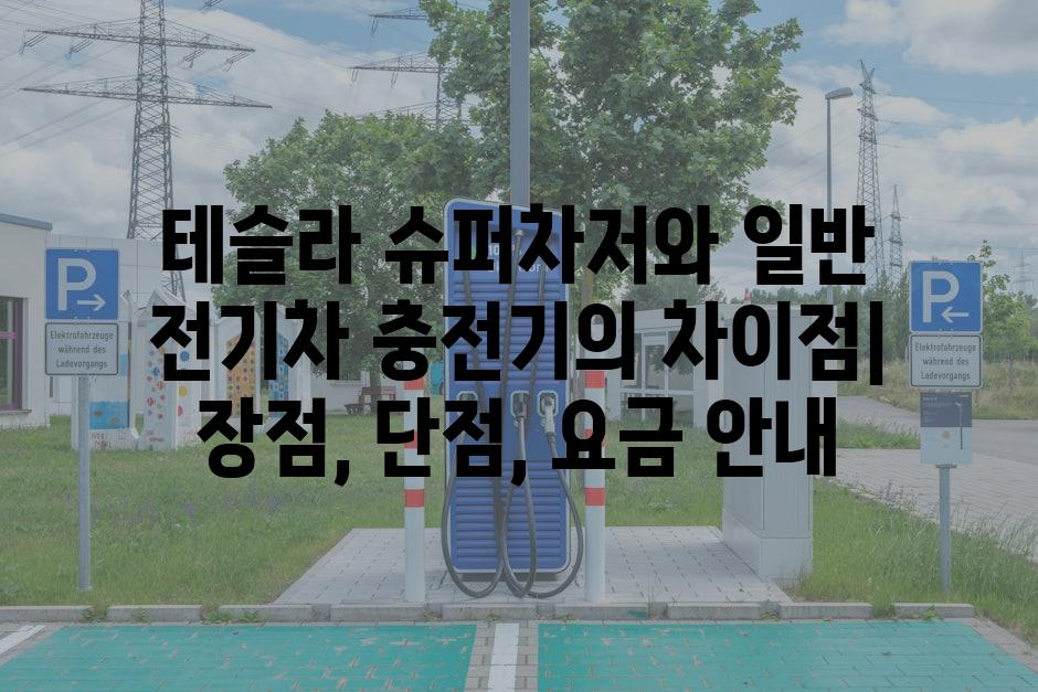 이미지_설명