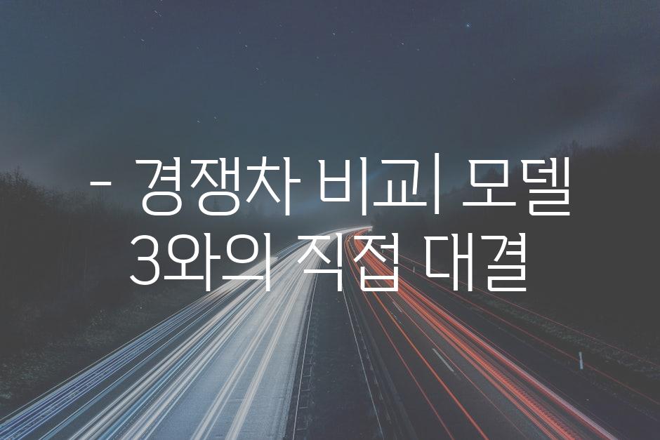 - 경쟁차 비교| 모델 3와의 직접 대결