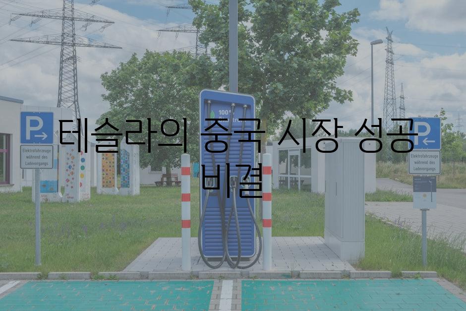  테슬라의 중국 시장 성공 비결