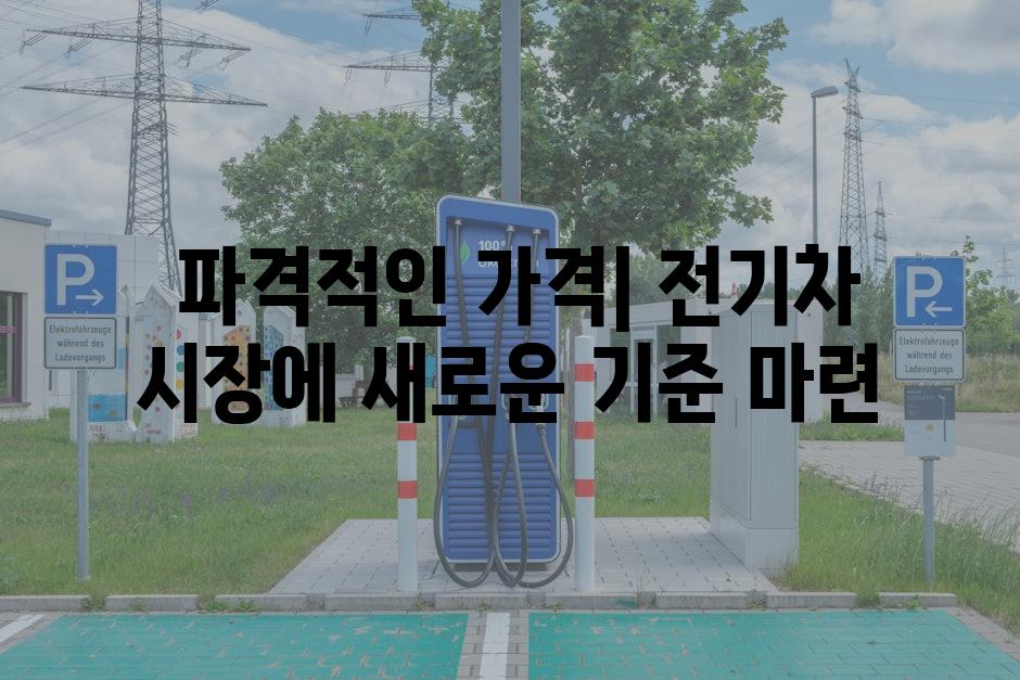  파격적인 가격| 전기차 시장에 새로운 기준 마련