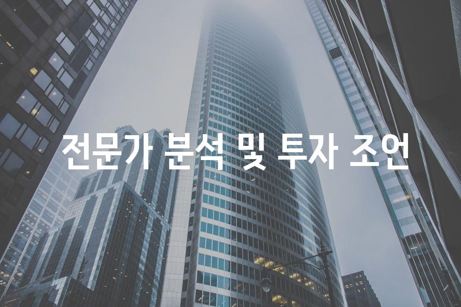 전문가 분석 및 투자 조언