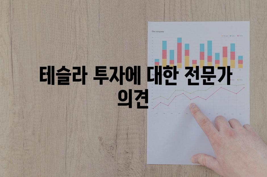  테슬라 투자에 대한 전문가 의견