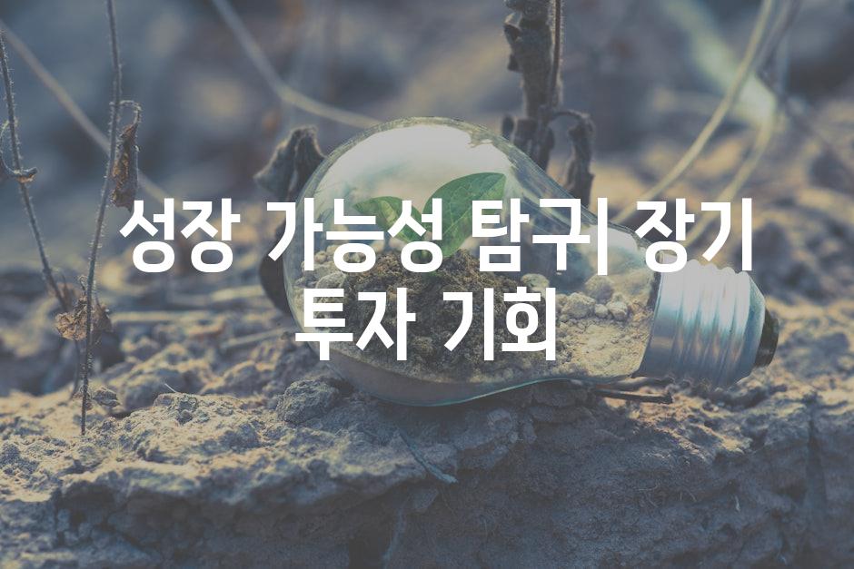  성장 가능성 탐구| 장기 투자 기회