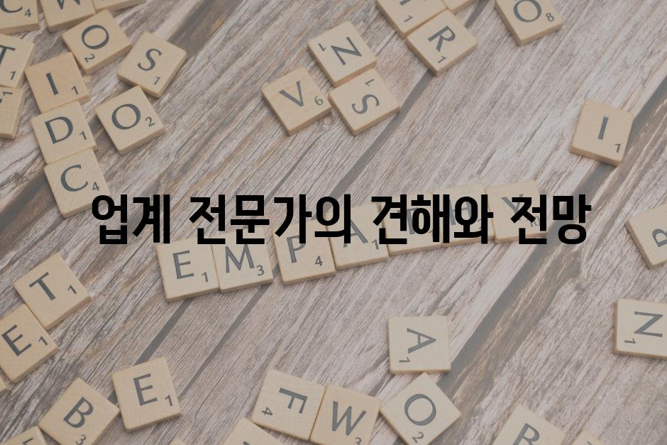 업계 전문가의 견해와 전망