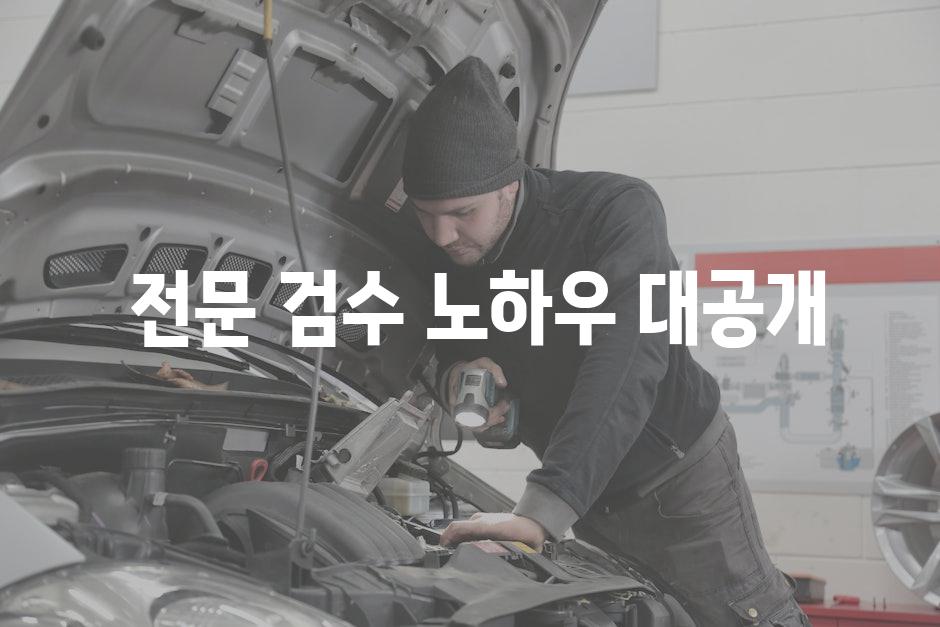  전문 검수 노하우 대공개