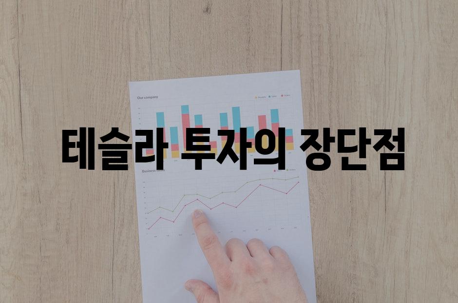  테슬라 투자의 장단점