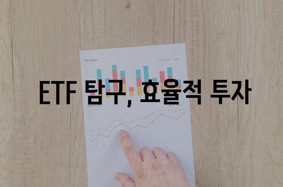  ETF 탐구, 효율적 투자