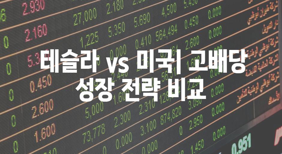  테슬라 vs 미국| 고배당 성장 전략 비교