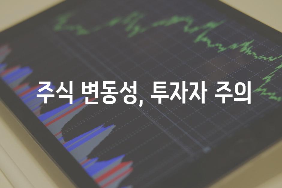  주식 변동성, 투자자 주의