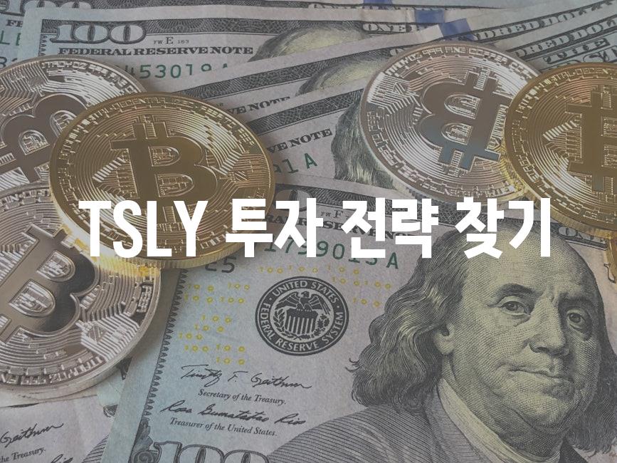  TSLY 투자 전략 찾기