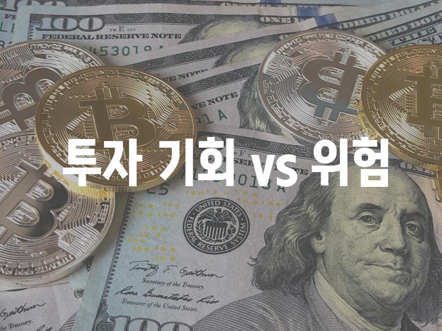  투자 기회 vs 위험