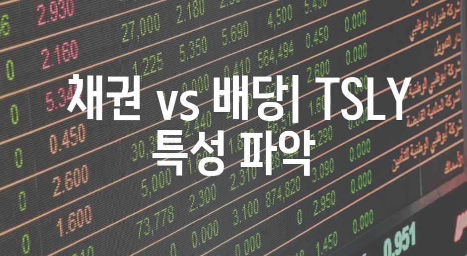  채권 vs 배당| TSLY 특성 파악