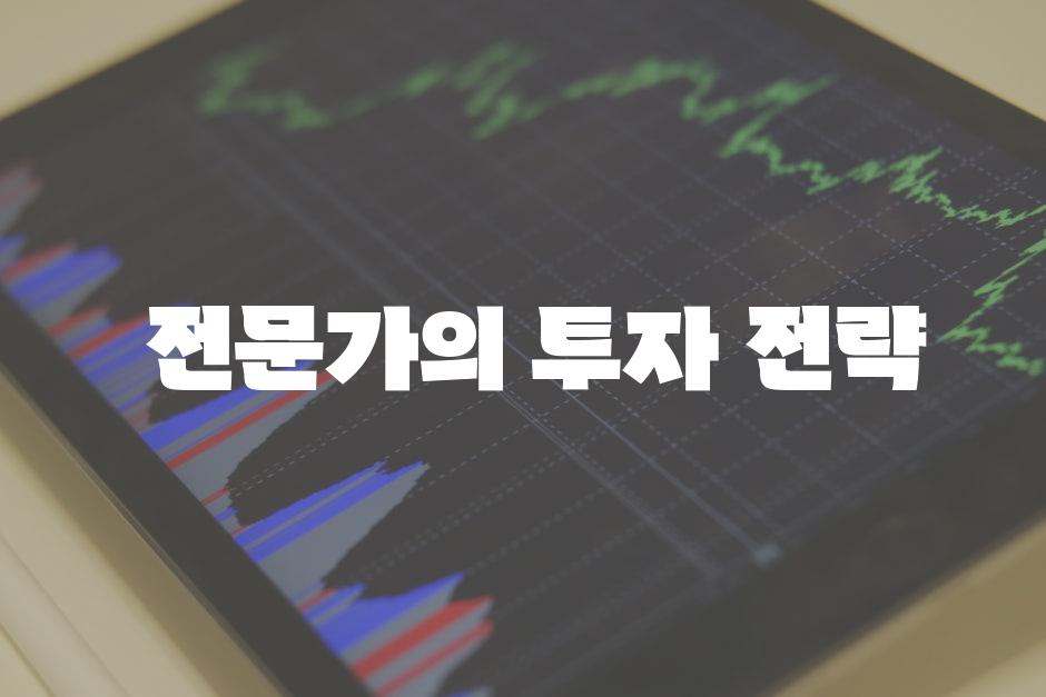  전문가의 투자 전략