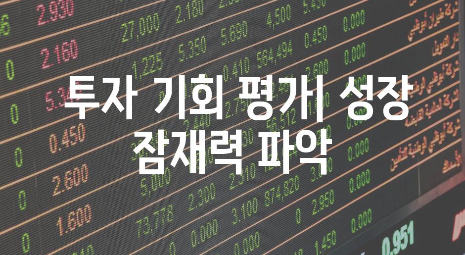  투자 기회 평가| 성장 잠재력 파악