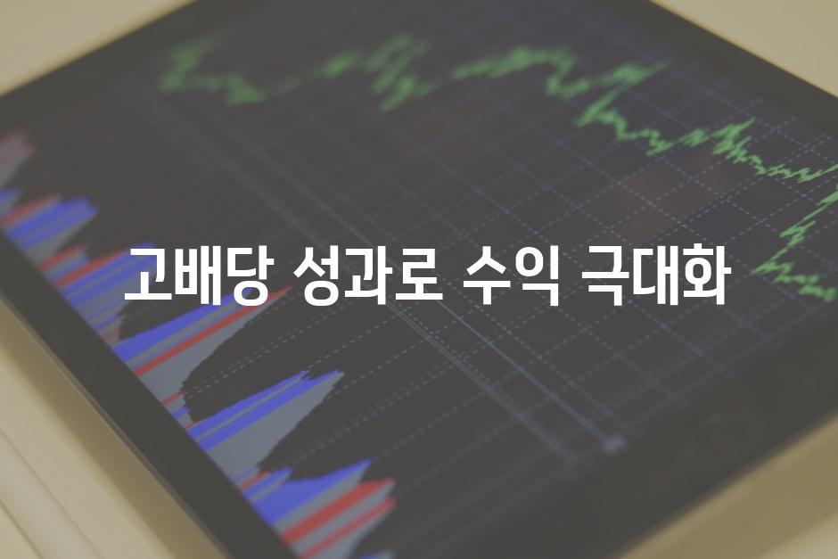  고배당 성과로 수익 극대화