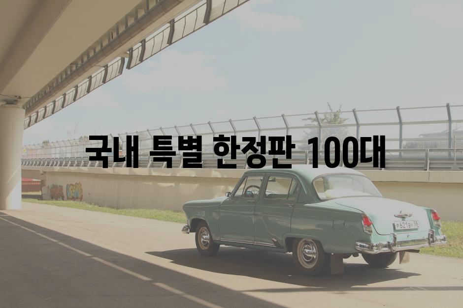  국내 특별 한정판 100대