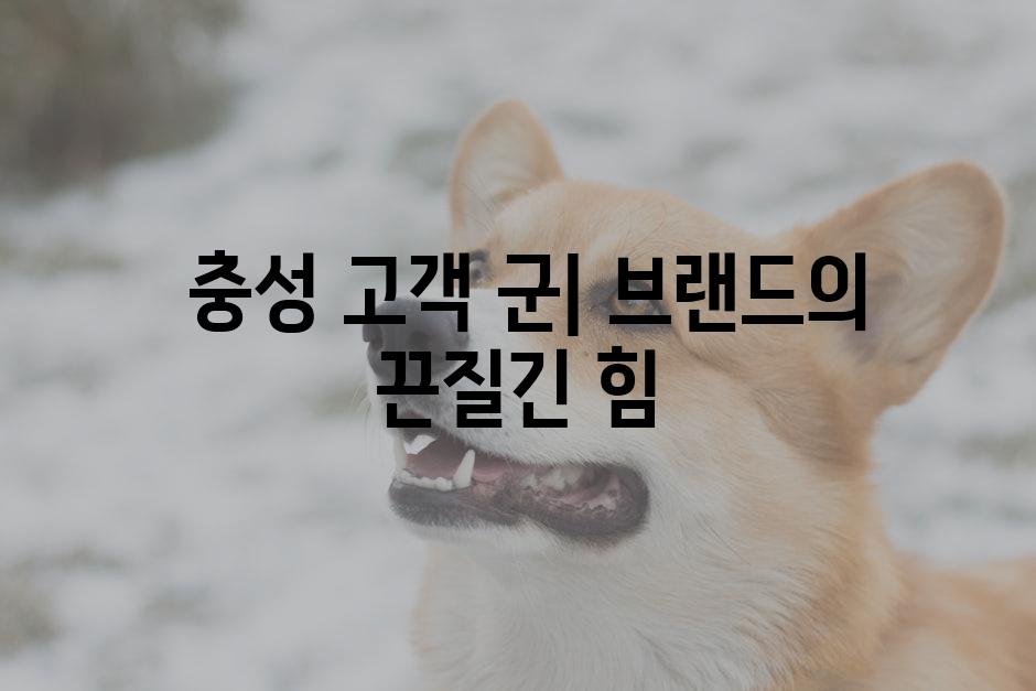  충성 고객 군| 브랜드의 끈질긴 힘