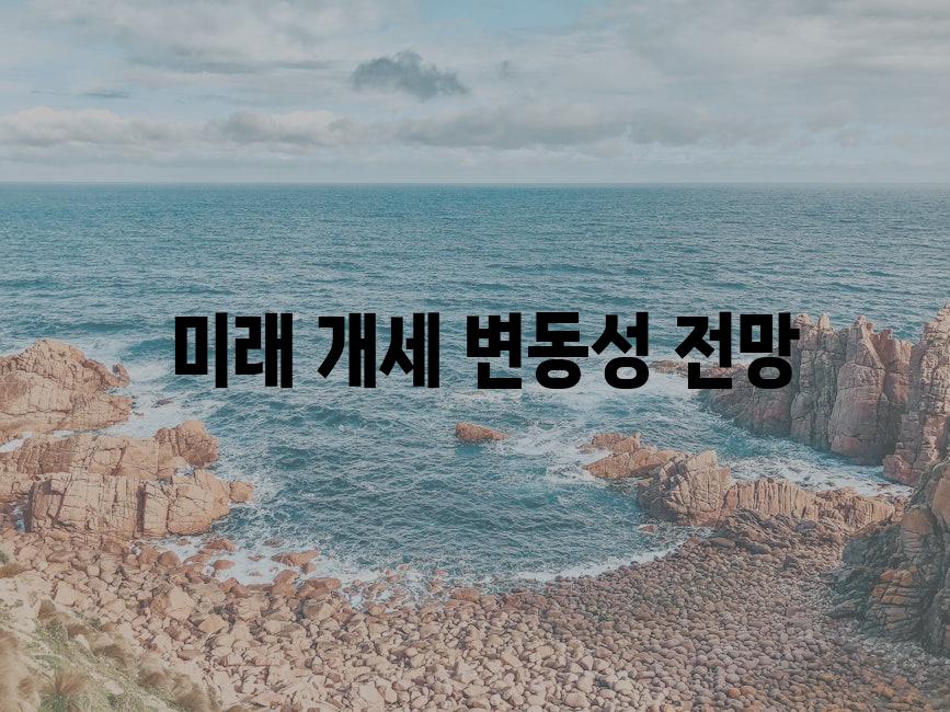  미래 개세 변동성 전망