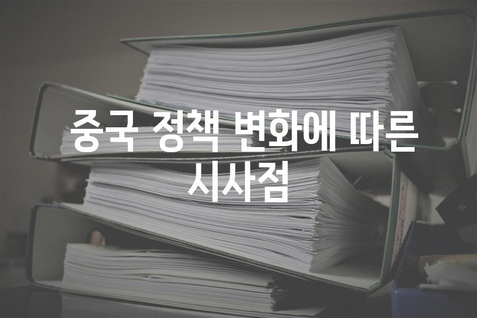  중국 정책 변화에 따른 시사점