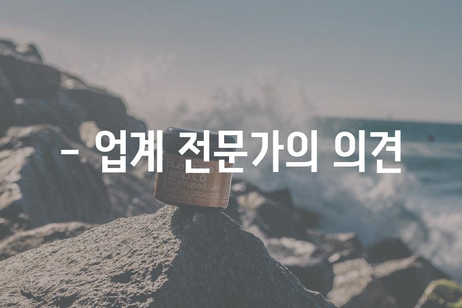 - 업계 전문가의 의견