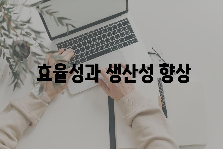  효율성과 생산성 향상