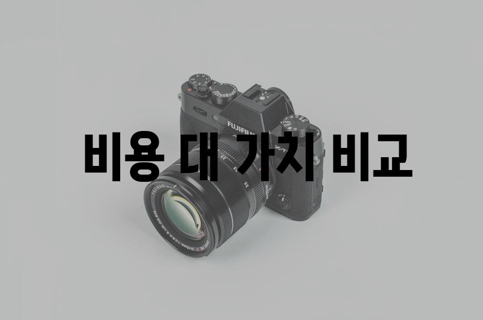  비용 대 가치 비교