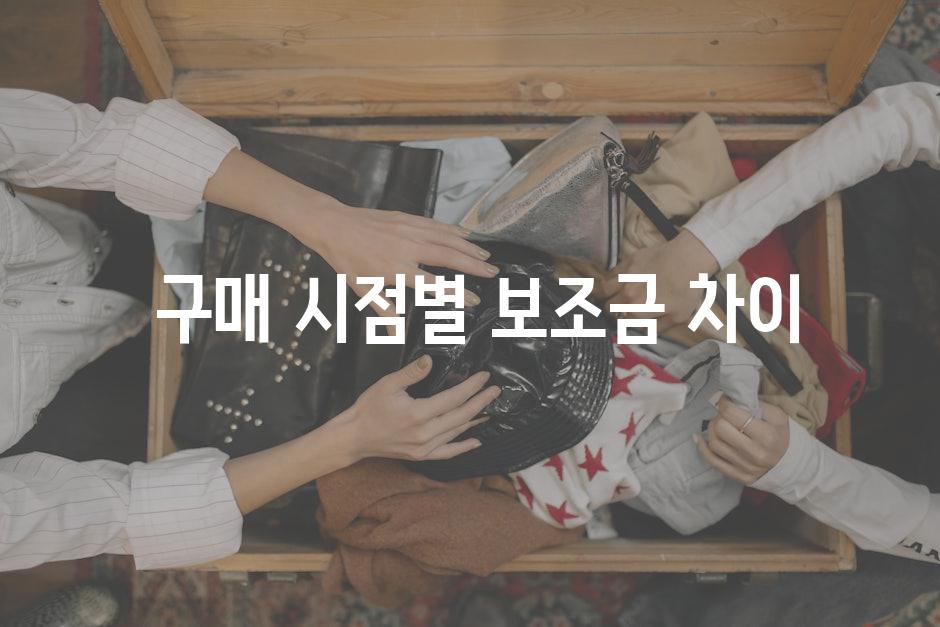  구매 시점별 보조금 차이