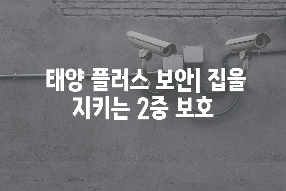  태양 플러스 보안| 집을 지키는 2중 보호