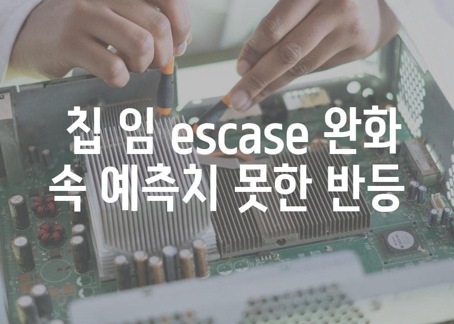 칩 임 escase 완화 속 예측치 못한 반등